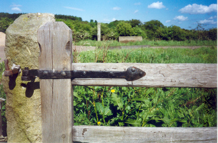 Cleft Oak Gate Hinge